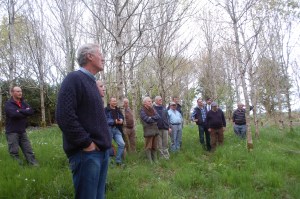 broadleaf day2014 003